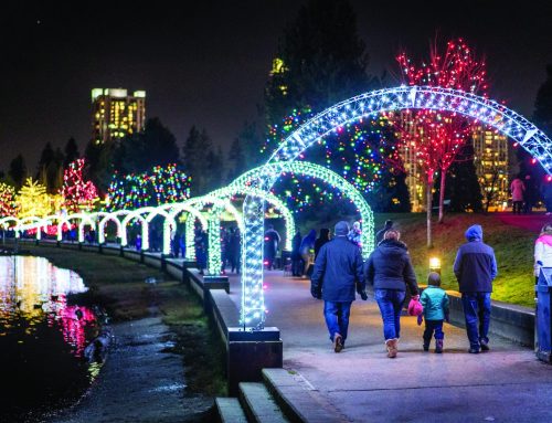 Visit the largest free lights display in Metro Vancouver